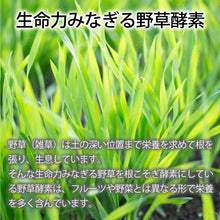 画像をギャラリービューアに読み込む, 【送料無料】IWII.BLEND(月額定期購入プラン)
